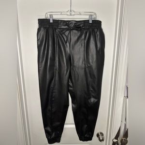Beautiful rich, pleather JOGGERS!
